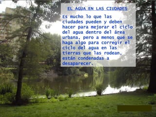 EL AGUA EN LAS CIUDADES
Es mucho lo que las
ciudades pueden y deben
hacer para mejorar el ciclo
del agua dentro del área
urbana, pero a menos que se
haga algo para corregir el
ciclo del agua en las
tierras que las rodean,
están condenadas a
desaparecer.
 