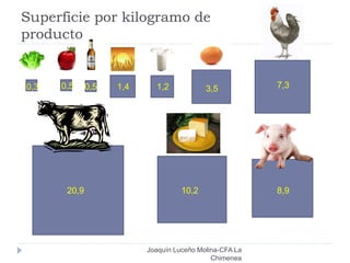 Superficie por kilogramo de
producto
0,3 0,5 0,5 1,4 1,2 3,5 7,3
8,910,220,9
Joaquín Luceño Molina-CFA La
Chimenea
 