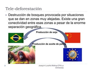 Tele-deforestación
Joaquín Luceño Molina-CFA La
Chimenea
 Destrucción de bosques provocada por situaciones
que se dan en zonas muy alejadas. Existe una gran
conectividad entre esas zonas a pesar de la enorme
separación geográfica.
INDONESIA
Producción de soja
Producción de aceite de palma
 
