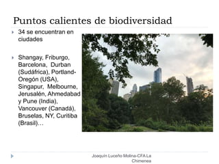 Puntos calientes de biodiversidad
Joaquín Luceño Molina-CFA La
Chimenea
 34 se encuentran en
ciudades
 Shangay, Friburgo,
Barcelona, Durban
(Sudáfrica), Portland-
Oregón (USA),
Singapur, Melbourne,
Jerusalén, Ahmedabad
y Pune (India),
Vancouver (Canadá),
Bruselas, NY, Curitiba
(Brasil)…
 