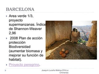 BARCELONA
Joaquín Luceño Molina-CFA La
Chimenea
 Area verde 1/3,
proyecto
supermanzanas. Índice
de Shannon-Weaver
2,96
 2008 Plan de acción
protección
Biodiversidad
(aumentar biomasa y
mejorar su función de
habitat).
 Proyecto peregrino.
 