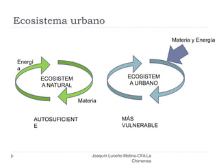 Ecosistema urbano
Joaquín Luceño Molina-CFA La
Chimenea
ECOSISTEM
A URBANO
ECOSISTEM
A NATURAL
Materia
Energí
a
AUTOSUFICIENT
E
MÁS
VULNERABLE
Materia y Energía
 