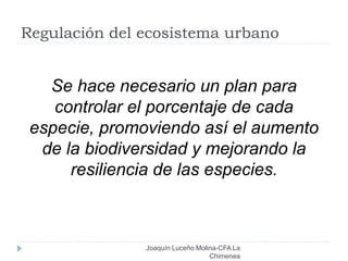Regulación del ecosistema urbano
Joaquín Luceño Molina-CFA La
Chimenea
Se hace necesario un plan para
controlar el porcentaje de cada
especie, promoviendo así el aumento
de la biodiversidad y mejorando la
resiliencia de las especies.
 