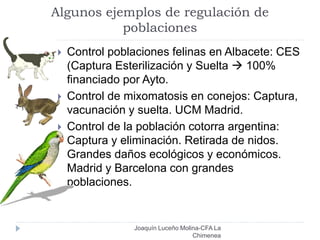 Algunos ejemplos de regulación de
poblaciones
Joaquín Luceño Molina-CFA La
Chimenea
 Control poblaciones felinas en Albacete: CES
(Captura Esterilización y Suelta  100%
financiado por Ayto.
 Control de mixomatosis en conejos: Captura,
vacunación y suelta. UCM Madrid.
 Control de la población cotorra argentina:
Captura y eliminación. Retirada de nidos.
Grandes daños ecológicos y económicos.
Madrid y Barcelona con grandes
poblaciones.
 