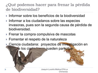 ¿Qué podemos hacer para frenar la pérdida
de biodiversidad?
Joaquín Luceño Molina-CFA La
Chimenea
 Informar sobre los beneficios de la biodiversidad
 Informar a los ciudadanos sobre las especies
invasoras, pues son la segunda causa de pérdida de
biodiversidad.
 Frenar la compra compulsiva de mascotas
 Fomentar el respeto de la naturaleza
 Ciencia ciudadana: proyectos de investigación en
los que los ciudadanos pueden participar
 