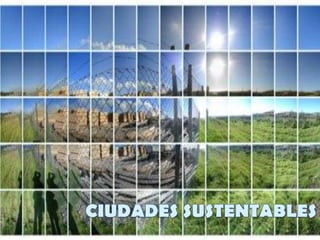 CIUDADES SUSTENTABLES,[object Object]
