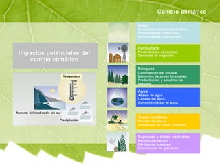 Cambio climático
Impactos potenciales del
cambio climático
Salud
Mortalidad relacionada al clima.
Enfermedades infecciosas.
Enfermedades respiratorias.
Agricultura
Productividad del campo.
Demanda de irrigación.
Bosques
Composición del bosque.
Extensión de zonas forestales.
Productividad y salud de los
bosques.
Agua
Abasto de agua.
Calidad del agua.
Competencia por el agua.
Zonas costeras
Erosión de playas
Inundación de zonas costeras.
Especies y áreas naturales
Pérdida del hábitat.
Pérdida de especies.
Disminución de glaciares.
 