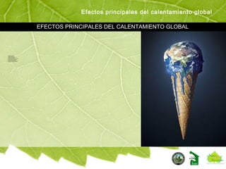 Efectos principales del calentamiento global
EFECTOS PRINCIPALES DEL CALENTAMIENTO GLOBAL
 Subida del nivel del mar.
 Aumento de tormentas.
 Aumento local de las temperaturas.
 Expansión de los desiertos.
 Aumento de las canículas, especialmente
en zonas donde no eran habituales.
 Aumento de la acción convectiva
(que conlleva una mayor aridez del suelo).
 Presión sobre los bosques mundiales.
 