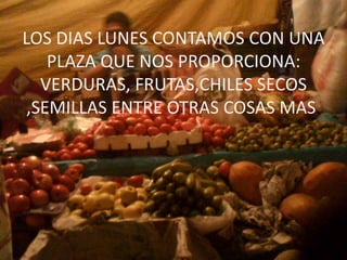 LOS DIAS LUNES CONTAMOS CON UNA
    PLAZA QUE NOS PROPORCIONA:
   VERDURAS, FRUTAS,CHILES SECOS
 ,SEMILLAS ENTRE OTRAS COSAS MAS.
 