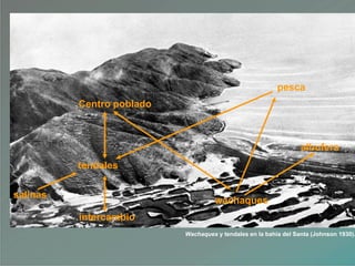 Wachaques y tendales en la bahía del Santa (Johnson 1930).
wachaques
pesca
albufera
salinas
tendales
Centro poblado
intercambio
 