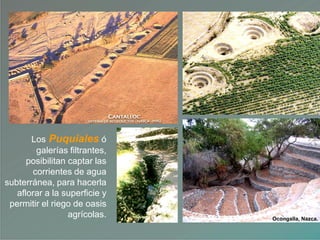 Los Puquiales ó
galerías filtrantes,
posibilitan captar las
corrientes de agua
subterránea, para hacerla
aflorar a la superficie y
permitir el riego de oasis
agrícolas. Ocongalla, Nazca.
 