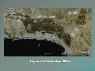 Lagunas de Puerto Viejo - Chilca
 