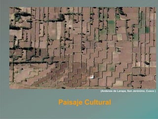 Paisaje Cultural
(Andenes de Larapa, San Jerónimo, Cusco )
 