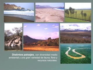 Distintos paisajes, con diversidad medio
ambiental y una gran variedad de fauna, flora y
recursos naturales.
 