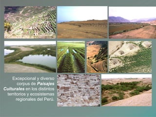 Excepcional y diverso
corpus de Paisajes
Culturales en los distintos
territorios y ecosistemas
regionales del Perú.
 