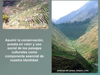 Asumir la conservación,
puesta en valor y uso
social de los paisajes
culturales como
componente esencial de
nuestra identidad.
Andenes de Laraos, Yauyos, Lima
 