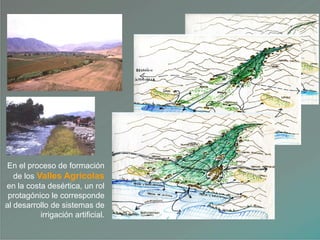 En el proceso de formación
de los Valles Agrícolas
en la costa desértica, un rol
protagónico le corresponde
al desarrollo de sistemas de
irrigación artificial.
 
