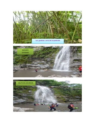 Las guaduas cerca de la quebrada

DEPORTE
EXTREMO

SALTO DE LOS MICOS

 