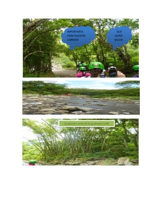 IMPORTANTE
PARA NUESTRA
CARRERA

Guaduales cerca de la quebrada CUNE

QUE
SUPER
SALIDA

 