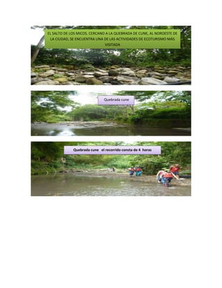 EL SALTO DE LOS MICOS. CERCANO A LA QUEBRADA DE CUNE, AL NOROESTE DE
LA CIUDAD, SE ENCUENTRA UNA DE LAS ACTIVIDADES DE ECOTURISMO MÁS
VISITADA

Quebrada cune

Quebrada cune el recorrido consta de 4 horas

 