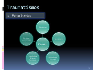 Traumatismos
1. Partes blandas


                              Abrasiones




          Mordedura
                                                   laceraciones
          de animales

                              Causas:



                  mordedura
                                           contusiones
                   de seres
                                             cerradas
                  humanos



                                                                  35
 