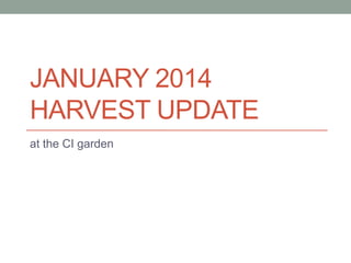 JANUARY 2014
HARVEST UPDATE
at Organic Garden at the Cancer Institute
Chennai

 