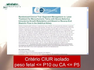 Critério CIUR isolado
peso fetal <= P10 ou CA <= P5
 