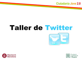 Ciutadania   Jove   2.0 Taller de  Twitter 