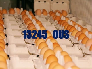 13245 OUS
 