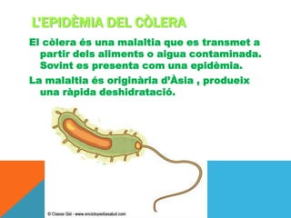 L’EPIDÈMIA DEL CÒLERA
El còlera és una malaltia que es transmet a
  partir dels aliments o aigua contaminada.
  Sovint es presenta com una epidèmia.
La malaltia és originària d’Àsia , produeix
  una ràpida deshidratació.
 