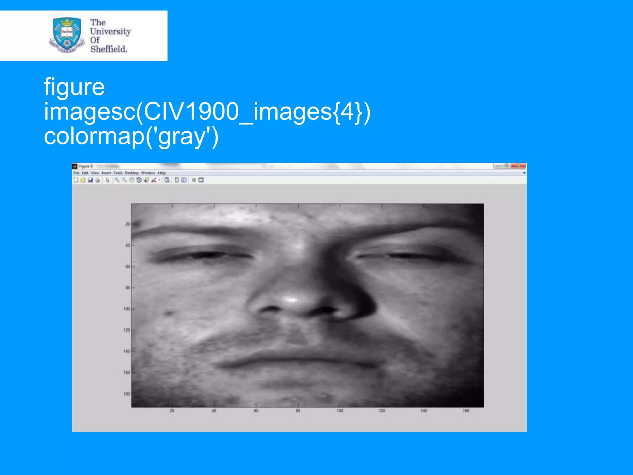 figure imagesc(CIV1900_images{4}) colormap('gray') 