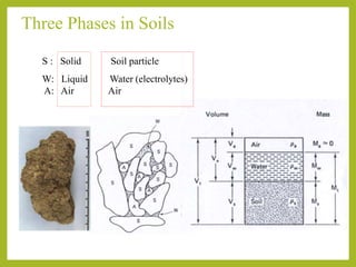 Three Phases in Soils
S : Solid Soil particle
W: Liquid Water (electrolytes)
A: Air Air
 