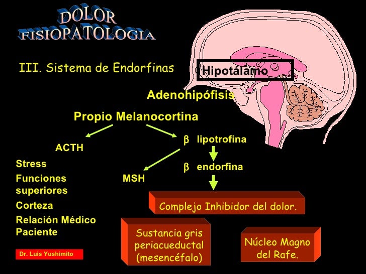 Dolor lumbar medicamento