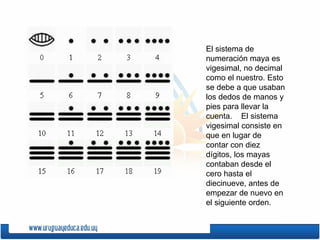 El sistema de
numeración maya es
vigesimal, no decimal
como el nuestro. Esto
se debe a que usaban
los dedos de manos y
pies para llevar la
cuenta. El sistema
vigesimal consiste en
que en lugar de
contar con diez
dígitos, los mayas
contaban desde el
cero hasta el
diecinueve, antes de
empezar de nuevo en
el siguiente orden.
 
