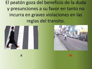El peatón goza del beneficio de la duda
 y presunciones a su favor en tanto no
  incurra en graves violaciones en las
           reglas del transito.




       SI                     NO
 