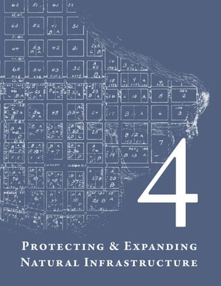 4

Protecting & Expanding
Natural Infrastructure

 