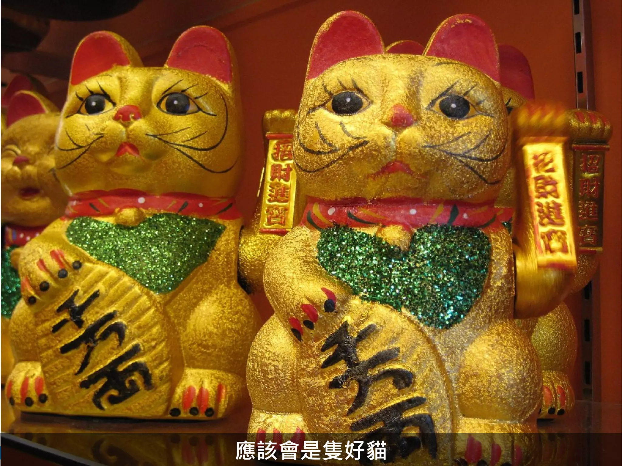 應該會是隻好貓
 