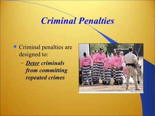 Criminal Penalties

   Criminal penalties are
    designed to:
     – Deter criminals
       from committing
       repeated crimes
 