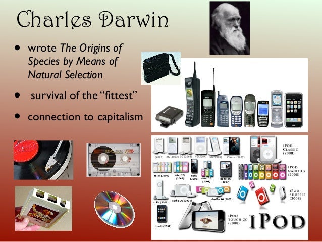 Connection Between Natural Selection And Survival Connection Between Natural Selection And Survival