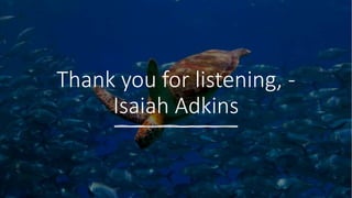 Thank you for listening, -
Isaiah Adkins
 