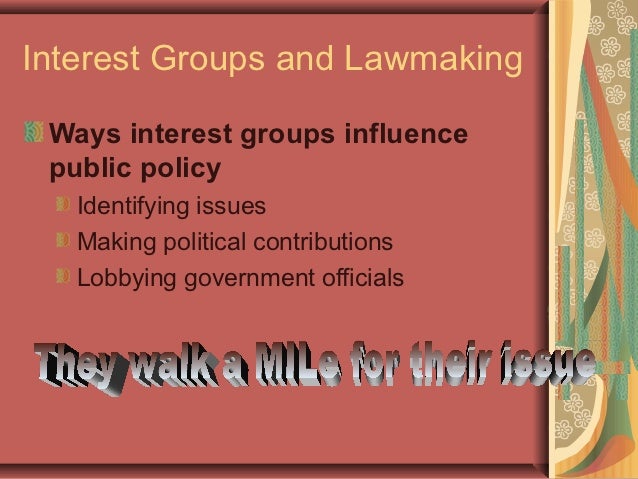 How do interest groups influence public policy?