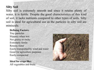 Silty Soil
Silty soil is extremely smooth and since it retains plenty of
water, it is fertile. Despite the good characteristics of this kind
of soil, it lacks nutrients compared to other types of soils. Silty
soil is ideal for agricultural use as the particles in silty soil are
miniscule.
Defining Factors:
Tiny particles
Slippery when wet
Not grainy or rocky
Extremely fertile
Retains water
Easily transported by wind and water
Good for agriculture purposes
Easily compacted
Ideal for crops like:
All vegetables and fruits
 