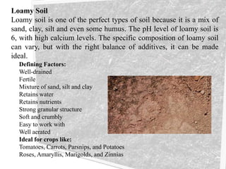 Loamy Soil
Loamy soil is one of the perfect types of soil because it is a mix of
sand, clay, silt and even some humus. The pH level of loamy soil is
6, with high calcium levels. The specific composition of loamy soil
can vary, but with the right balance of additives, it can be made
ideal.
Defining Factors:
Well-drained
Fertile
Mixture of sand, silt and clay
Retains water
Retains nutrients
Strong granular structure
Soft and crumbly
Easy to work with
Well aerated
Ideal for crops like:
Tomatoes, Carrots, Parsnips, and Potatoes
Roses, Amaryllis, Marigolds, and Zinnias
 