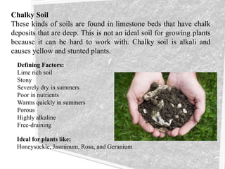 Chalky Soil
These kinds of soils are found in limestone beds that have chalk
deposits that are deep. This is not an ideal soil for growing plants
because it can be hard to work with. Chalky soil is alkali and
causes yellow and stunted plants.
Defining Factors:
Lime rich soil
Stony
Severely dry in summers
Poor in nutrients
Warms quickly in summers
Porous
Highly alkaline
Free-draining
Ideal for plants like:
Honeysuckle, Jasminum, Rosa, and Geranium
 