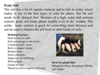 Peaty Soil
The soil has a lot of organic material and is rich in water, which
makes it one of the best types of soils for plants. But the soil
needs to be drained first. Because of a high water and nutrient
content, peaty soil keeps plants healthy even in dry weather. The
acidic water content is good for controlling plant diseases and
can be used to balance the pH level of other kinds of soils.
Defining Factors:
Dark brown in color
Soft and spongy to the touch
Contains acidic water
Rich in organic matter
Retains water
Stores nutrients
Improves soil buffering
Well aerated
Found in bogs
Mixed in soil to improve structure
Ideal for plants like:
Sphagnum Moss, Ericaceous Shrubs,
and Sedges
 