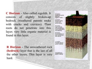 C Horizon - Also called regolith. It
consists of slightly broken-up
bedrock (weathered parents rocks
with cracks and crevices). Plant
roots do not penetrate into this
layer; very little organic material is
found in this layer.
R Horizon - The unweathered rock
(bedrock) layer that is the last of all
the other layers. This layer is very
hard.
 