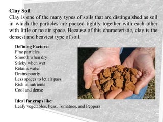 Clay Soil
Clay is one of the many types of soils that are distinguished as soil
in which the particles are packed tightly together with each other
with little or no air space. Because of this characteristic, clay is the
densest and heaviest type of soil.
Defining Factors:
Fine particles
Smooth when dry
Sticky when wet
Retains water
Drains poorly
Less spaces to let air pass
Rich in nutrients
Cool and dense
Ideal for crops like:
Leafy vegetables, Peas, Tomatoes, and Peppers
 