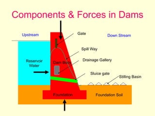Components & Forces in Dams
Reservoir
Water
Foundation Soil
Dam Body
Foundation
Upstream Down Stream
Drainage Gallery
Spill Way
Gate
Sluice gate
Stilling Basin
 