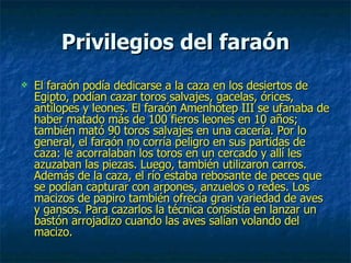 Privilegios del faraón El faraón podía dedicarse a la caza en los desiertos de Egipto, podían cazar toros salvajes, gacelas, órices, antílopes y leones. El faraón Amenhotep III se ufanaba de haber matado más de 100 fieros leones en 10 años; también mató 90 toros salvajes en una cacería. Por lo general, el faraón no corría peligro en sus partidas de caza: le acorralaban los toros en un cercado y allí les azuzaban las piezas. Luego, también utilizaron carros. Además de la caza, el río estaba rebosante de peces que se podían capturar con arpones, anzuelos o redes. Los macizos de papiro también ofrecía gran variedad de aves y gansos. Para cazarlos la técnica consistía en lanzar un bastón arrojadizo cuando las aves salían volando del macizo.  