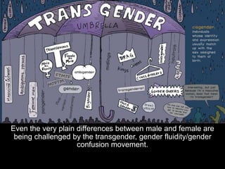 Even the very plain differences between male and female are
being challenged by the transgender, gender fluidity/gender
co...